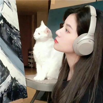 美丽的故事